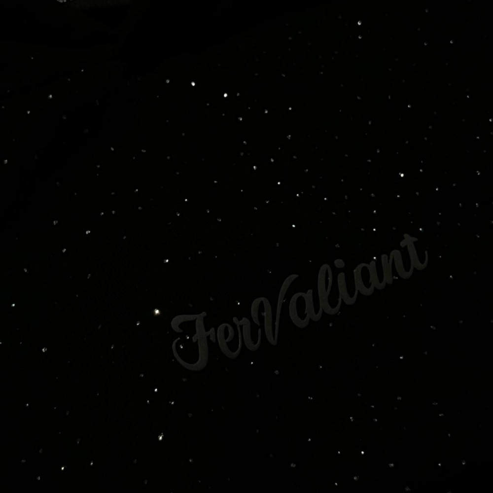 Simli Kapüşonlu Sweatshirt Siyah